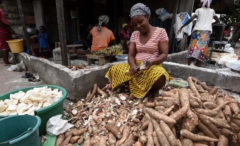 Bitam : les vendeuses de tubercules de manioc crient leur détresse