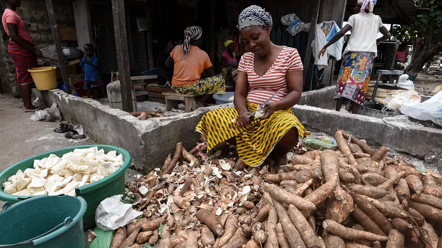 Bitam : les vendeuses de tubercules de manioc crient leur détresse